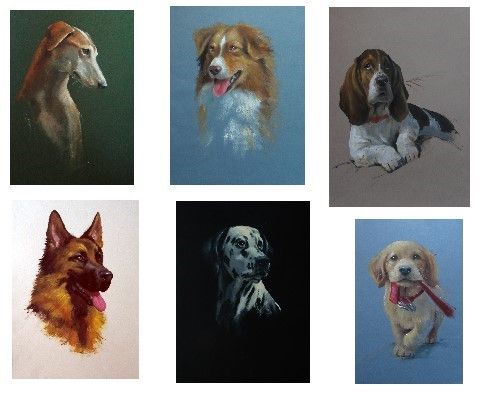 Archisio - Erica De Rosa - Progetto Dipinti di cani