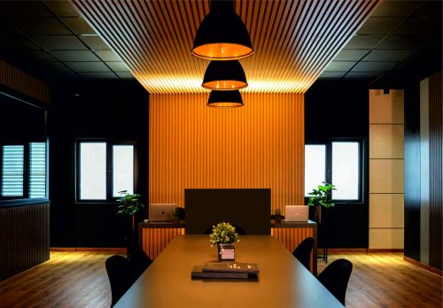 Archisio - Vendumm - Progetto Rivestimenti indoor outdoor cannettati