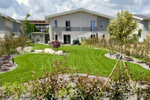 Archisio - Decorveronait - Progetto Messa a dimora di tuia e siepi