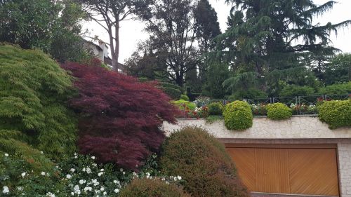 Archisio - Marco Maselli - Progetto Villa colli berici