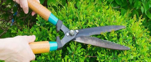 Archisio - Lavoro di Multiservice Pistoia Societ Cooperativa - La societ cooperativa multiservice pistoia composta da un insieme di professionisti e di aziende che si sono unite nel 2010 per dare alla propria clientela una gamma completa di servizi fra i qua