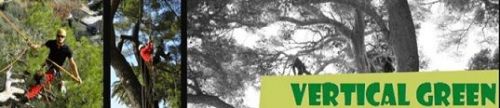 Archisio - Lavoro di Vertical Green - Vertical green unazienda genovese che si trova a bargagli specializzata in giardinaggio anche utilizzando il tree climbing che una tecnica di arrampicata sugli alberi che viene infatti impieg