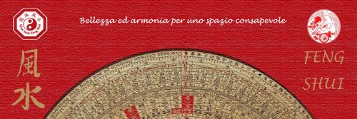 Archisio - Progetto di Donatella Magni - Laureata con lode in ingegneria civile edile nel 1988 da anni mi interesso del settore ambientale nel campo della bioedilizia del risparmio energetico e del feng shuiSono tecnico bioedile anab