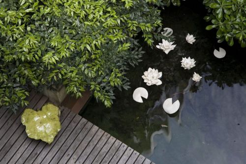 Archisio - Progetto di Agrisophia Natural Garden Design - Simona venturavissuta fin da piccola in campagna mi sono laureata in architettura a venezia e dopo alcuni anni di professione come architetto ho seguito la mia vera naturadiventare paesaggi