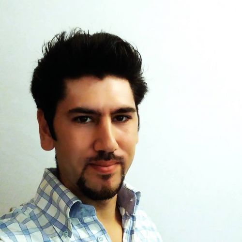 Archisio - Progettista Flavio Renzi - Designer di Interni - Roma RM