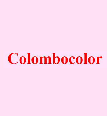 Archisio - Impresa Colombocolor - Impresa Edile - Arluno MI