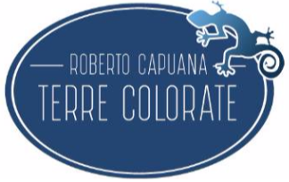 Archisio - Impresa Roberto Capuana Terre Colorate - Decoratore - Roma RM