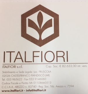 Archisio - Rivenditore Italfiori srl - Forni a legna da pizza caminetti e barbecue - Castelfranco di Sopra AR