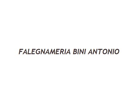 Archisio - Impresa Falegnameria Bini Antonio - Falegnameria - Travagliato BS