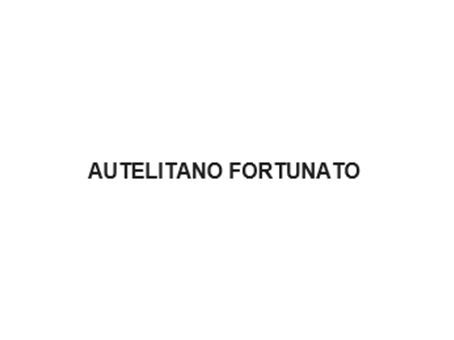 Archisio - Impresa Impianti Elettrici E Elettronici Di Fortunato Autelitano - Impianti Elettrici - Reggio Calabria RC