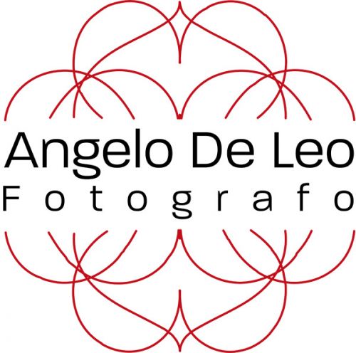 Archisio - Impresa Angelo De Leo Fotografo - Fotografi di Interni - Torino TO