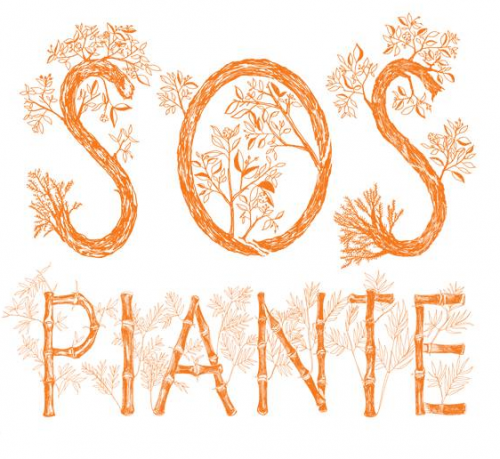 Archisio - Impresa Sos Piante - Manutenzione Verde - Milano MI