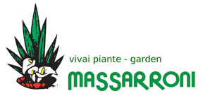Archisio - Impresa Massarroni - Vivai Piante - Garden - Manutenzione Verde - Perugia PG