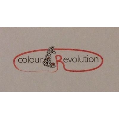 Archisio - Impresa Colour Revolution - Altro - Trento TN