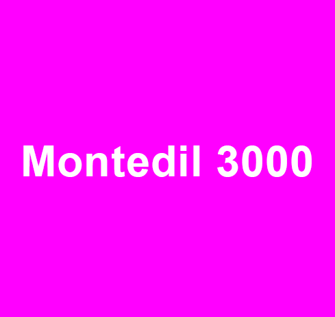 Archisio - Impresa Montedil 3000 Srls - Ponteggi - Roma RM